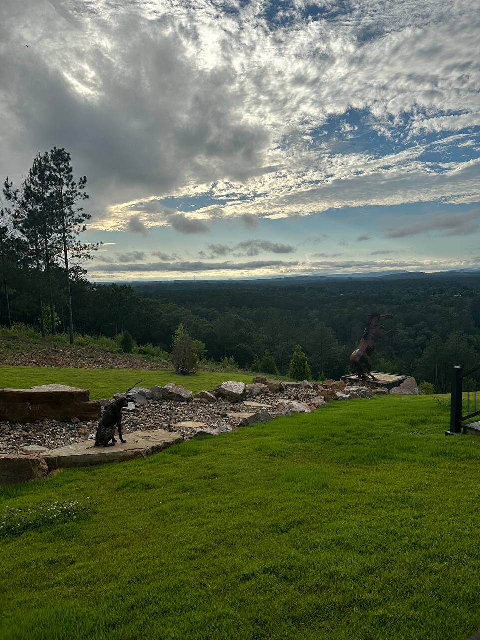 Rolling Ouachita landscape